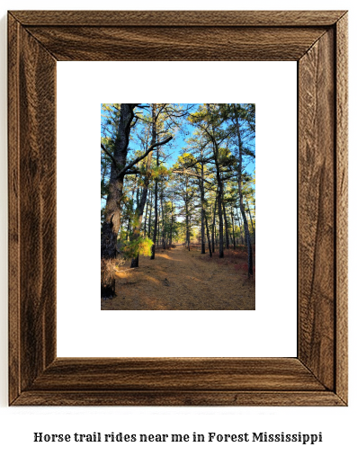 horse trail rides near me in Forest, Mississippi